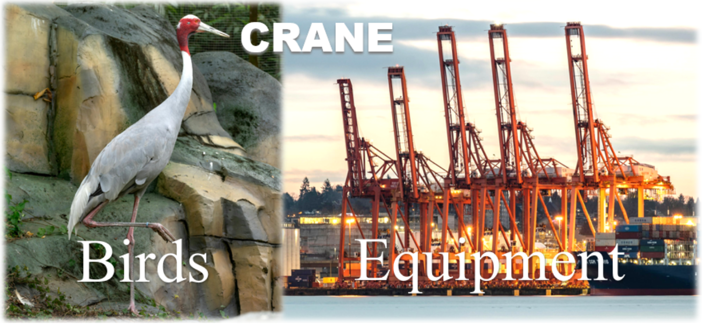 crane equipment